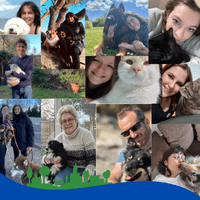 Logo Sautron C’est Vous – parc canin